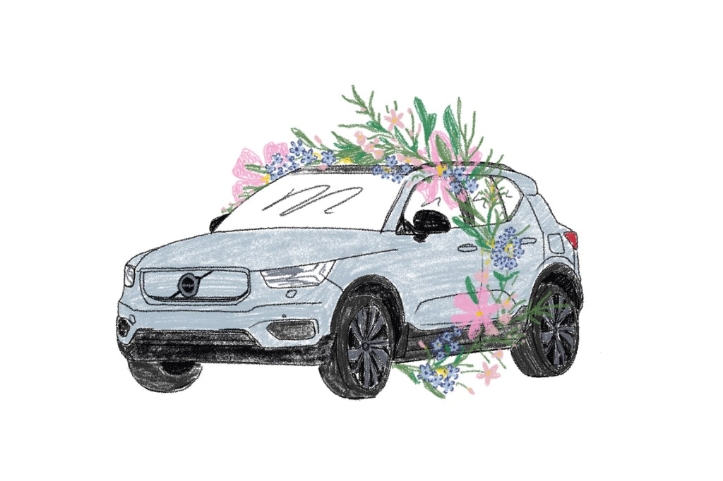 A drawn image of a vehicle with plants around it.