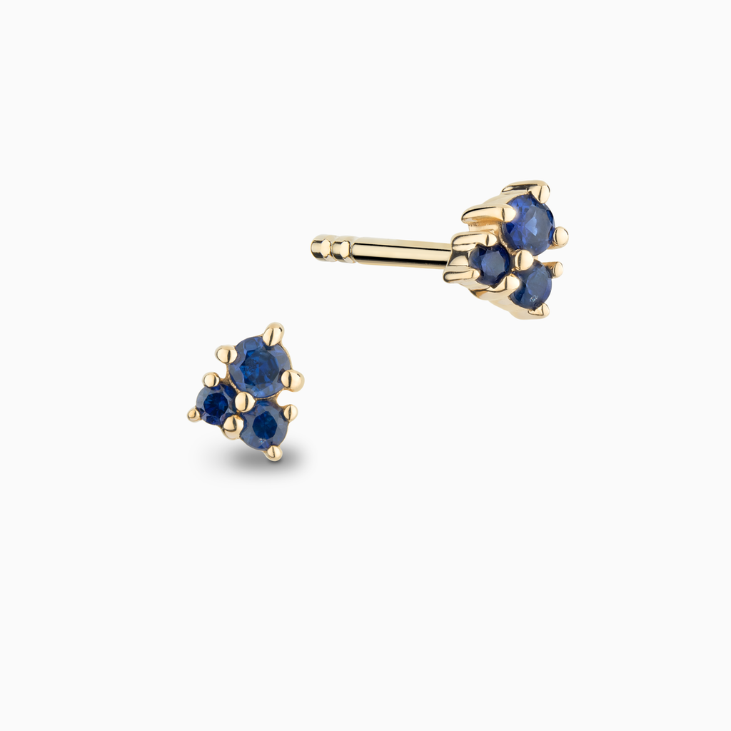 The Ecksand Cluster Blue Sapphire Stud Earrings shown with  in 14k Yellow Gold